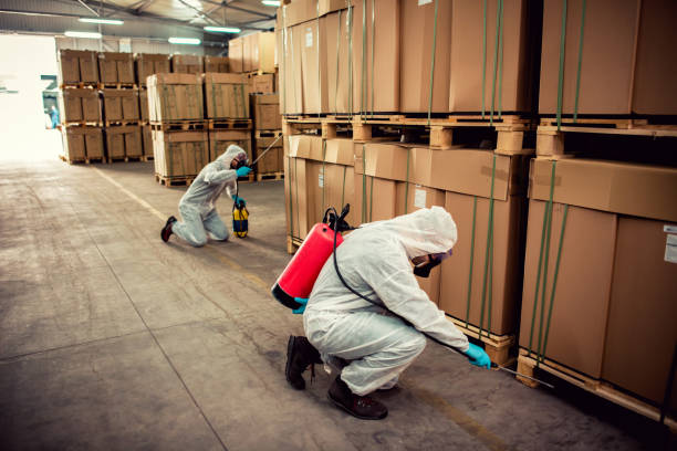 Best Pest Removal Services  in Berryville, TX