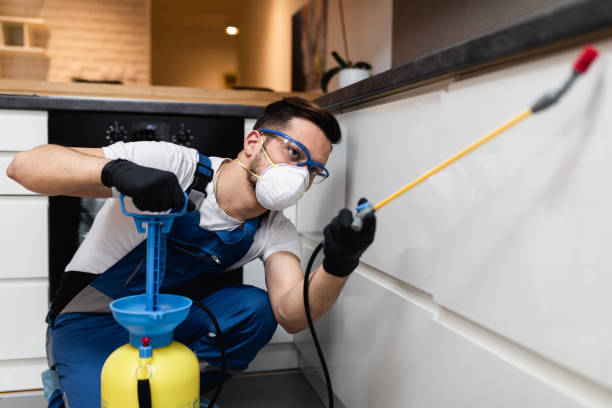 Pest Prevention Services in Berryville, TX