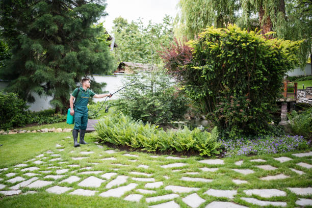 Best Pest Prevention Services  in Berryville, TX