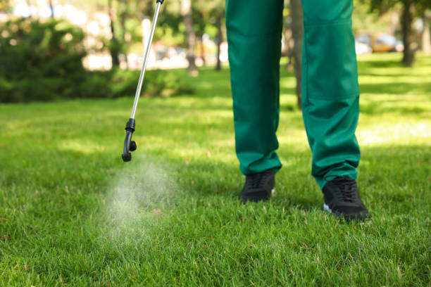 Best Local Pest Control Services  in Berryville, TX