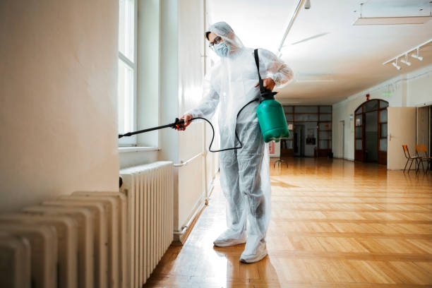 Best Wasp Removal Services  in Berryville, TX