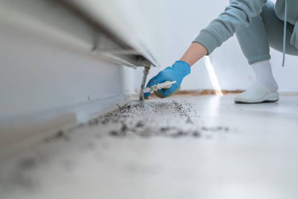 Best Commercial Pest Control Services  in Berryville, TX