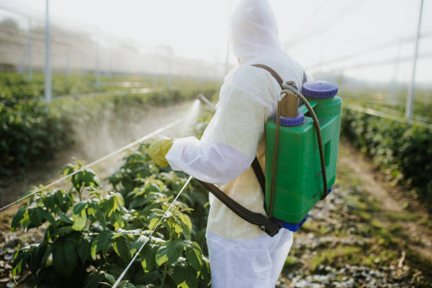 Pest Control for Restaurants in Berryville, TX